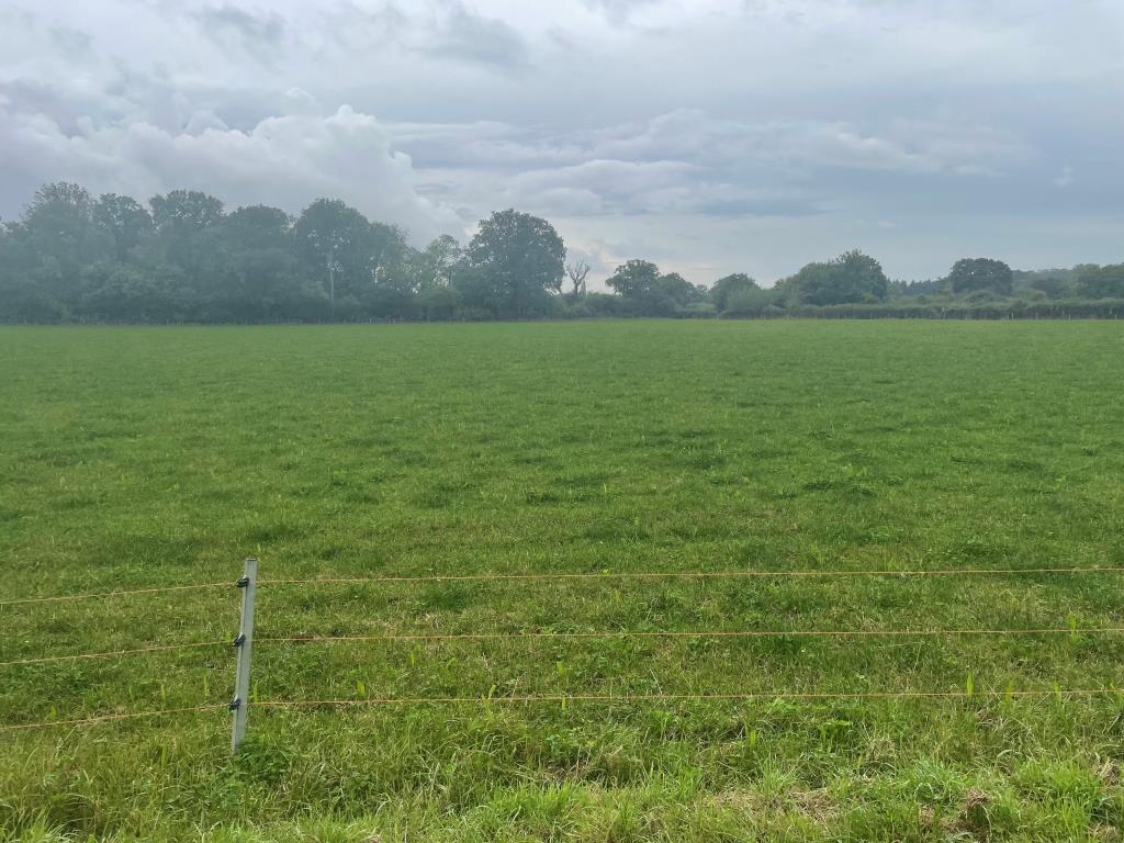 Lot: 94 - JUST OVER 33 ACRES OF FARMLAND IN STRATEGIC LOCATION - TO BE OFFERED FOR SALE BY PUBLIC AUCTION ON FRIDAY, 25TH OCTOBER 2024 - Southerly view of land